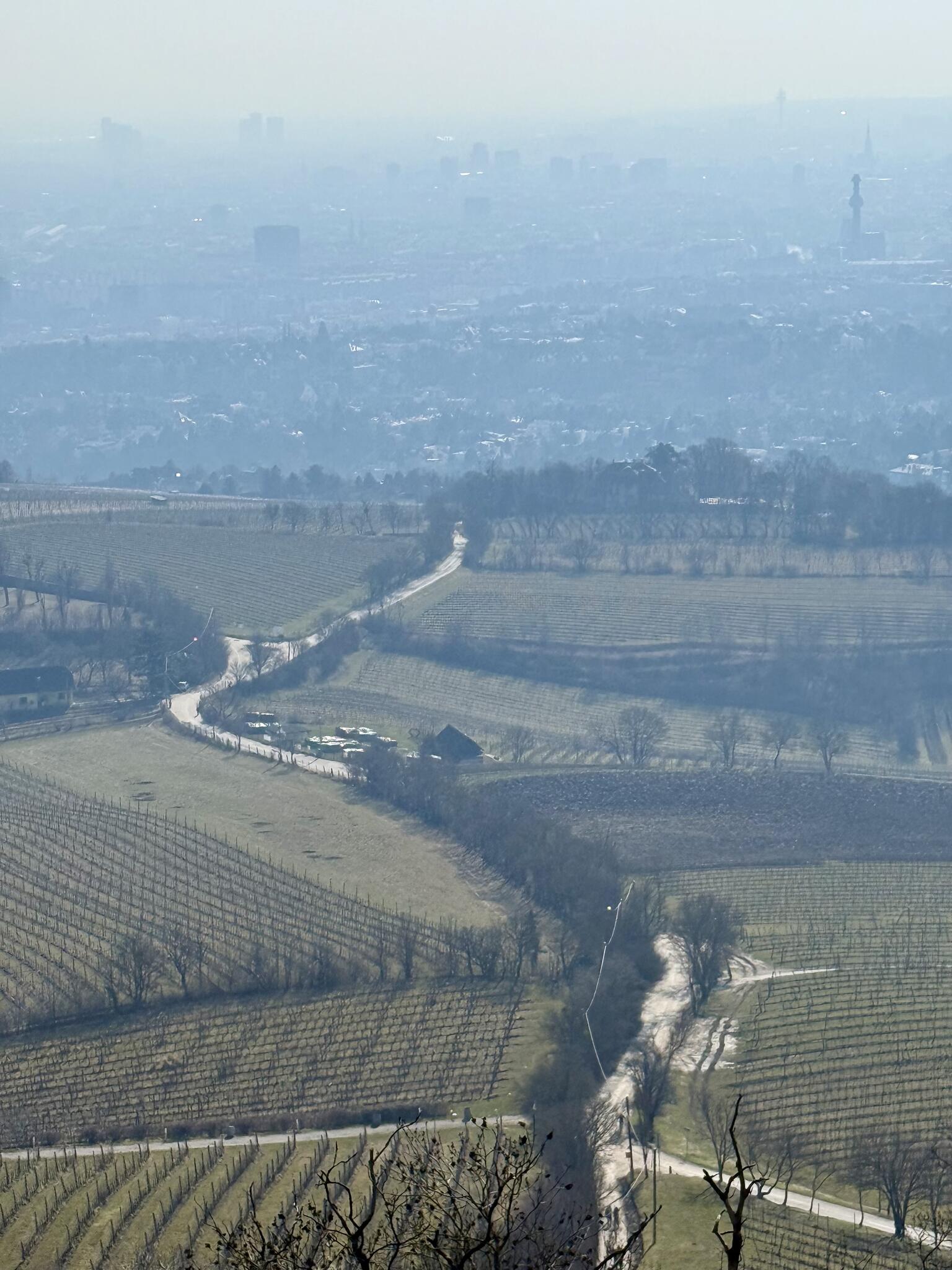 Grinzing - Leopodsberg